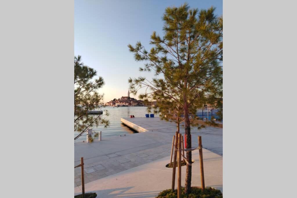 Apartman Sertic Nenad Rovinj Buitenkant foto